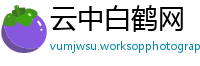 云中白鹤网